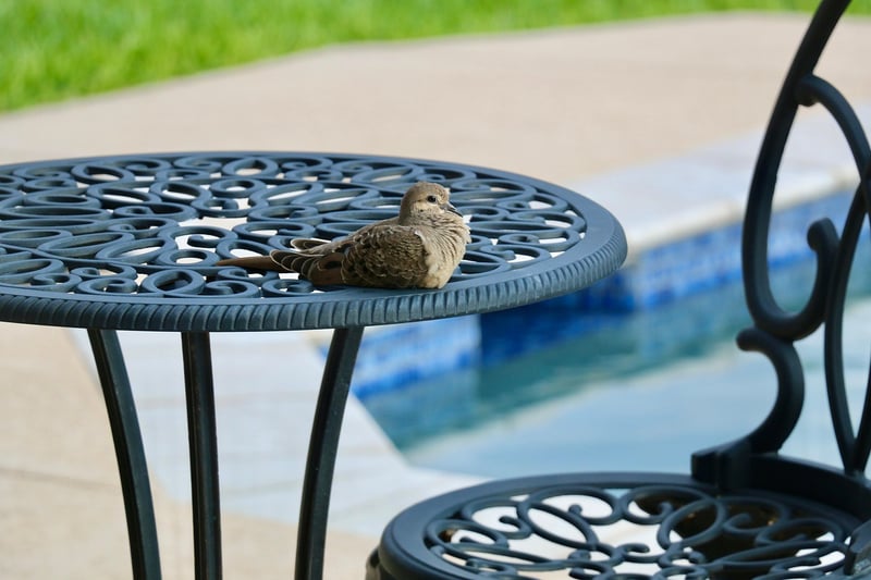 Outdoor Furniture